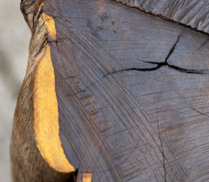 Ebony Wood
